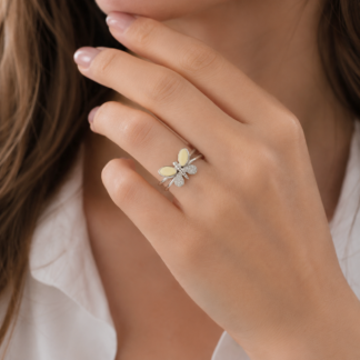 Anillo Alas